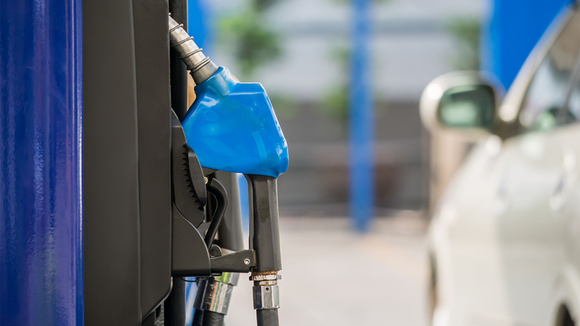 South Carolina witnessed a noticeable decrease in gas prices, offering some relief from the persistent climb of fuel costs