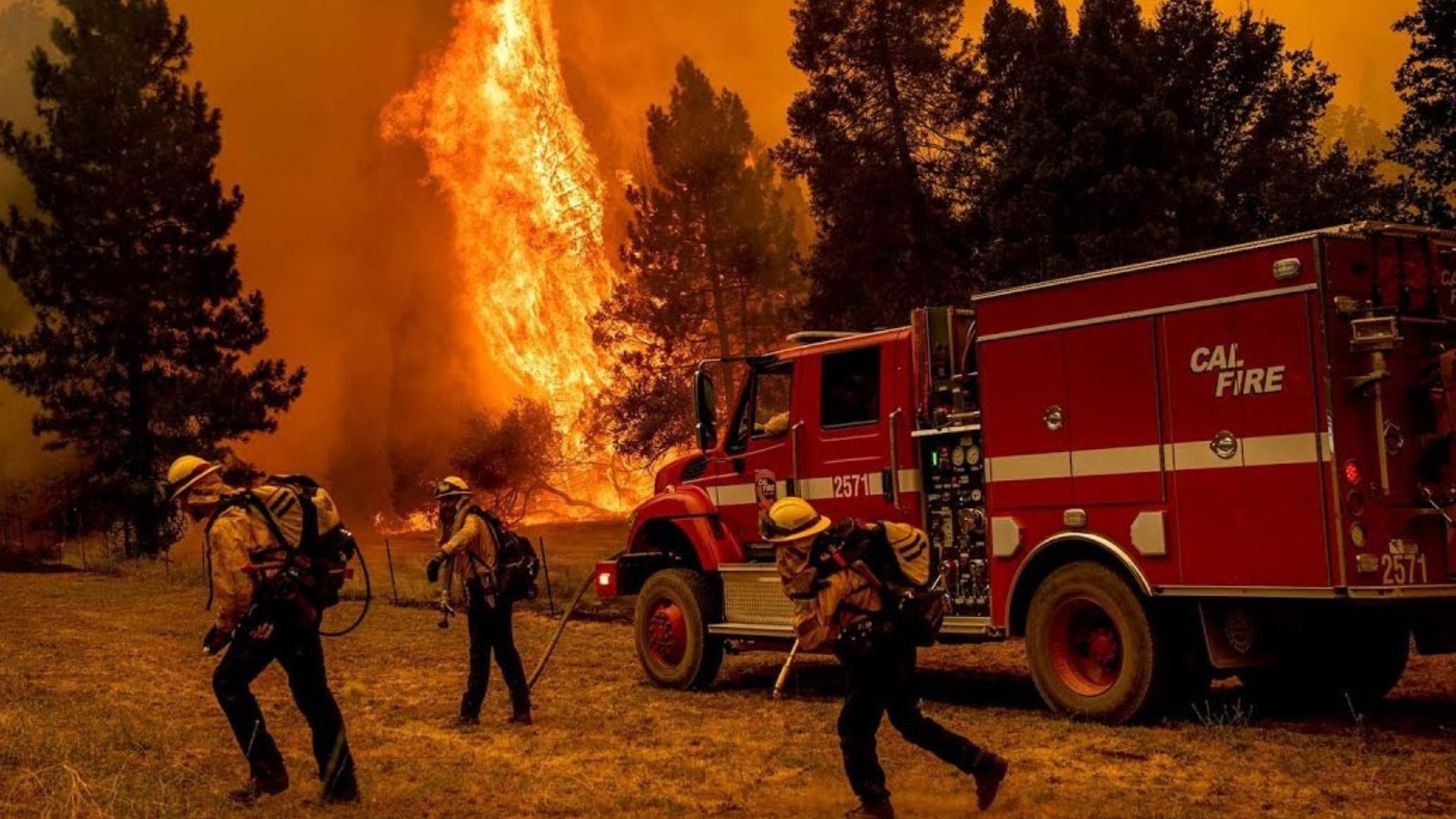 Victoria Roach, the president of the California FAIR Plan, has indicated that a significant insurance rate hike is on the way