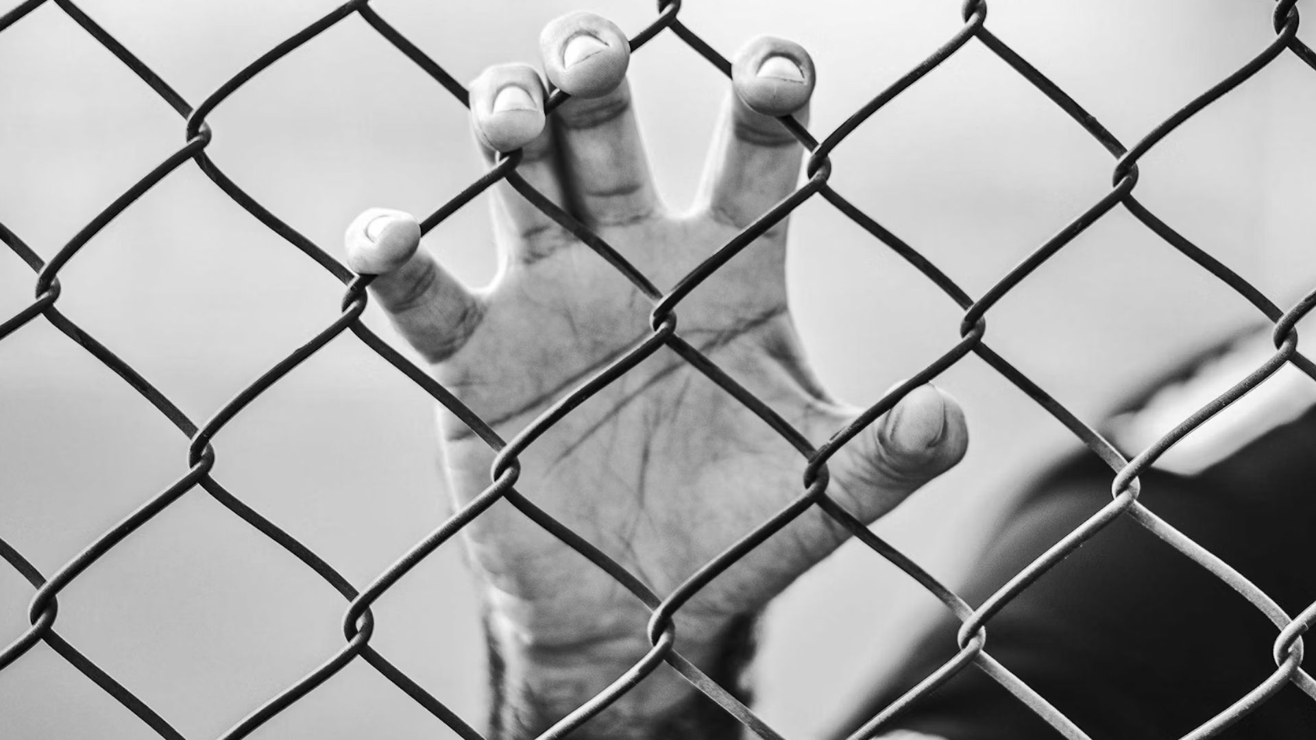 At the conclusion of his speech, Todd Blanche suggested that if the jury focused solely on the evidence presented, they should quickly and easily find Trump not guilty.