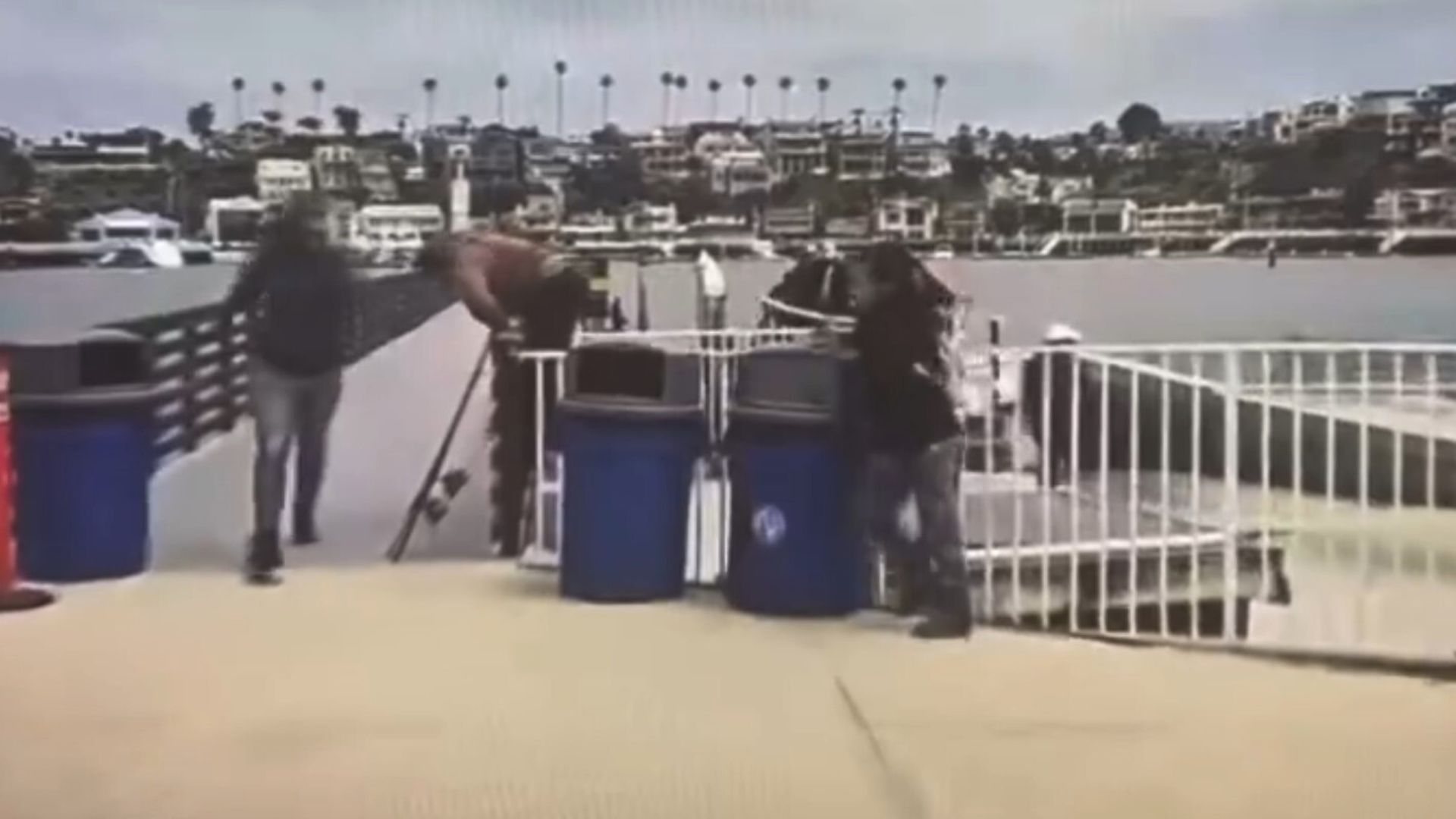 On Thursday, a group of about 20 suspected unauthorized migrants arrived by boat at a high-end marina in California and quickly fled the area