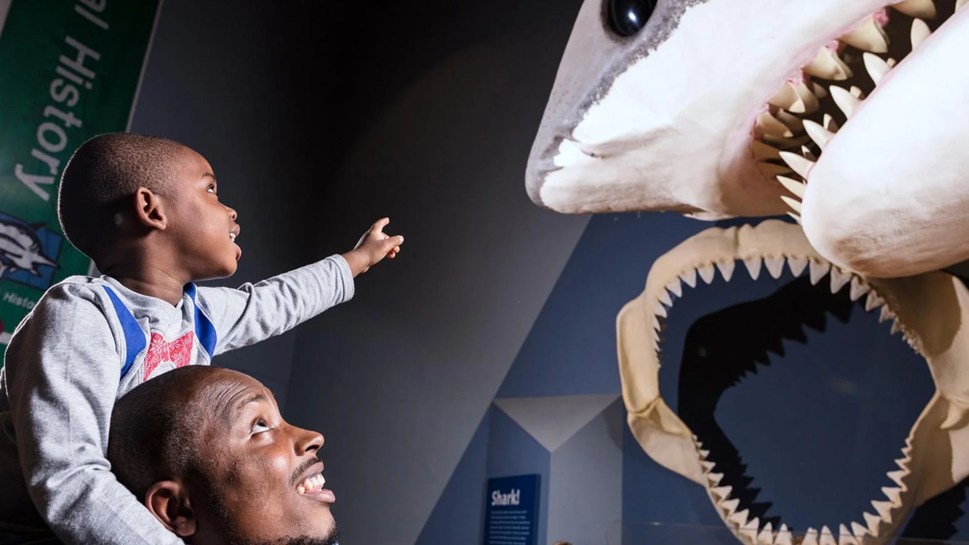 Institute of Museum and Library Services grant given to South Carolina State Museum to help digitize an extra 5,000 fossils