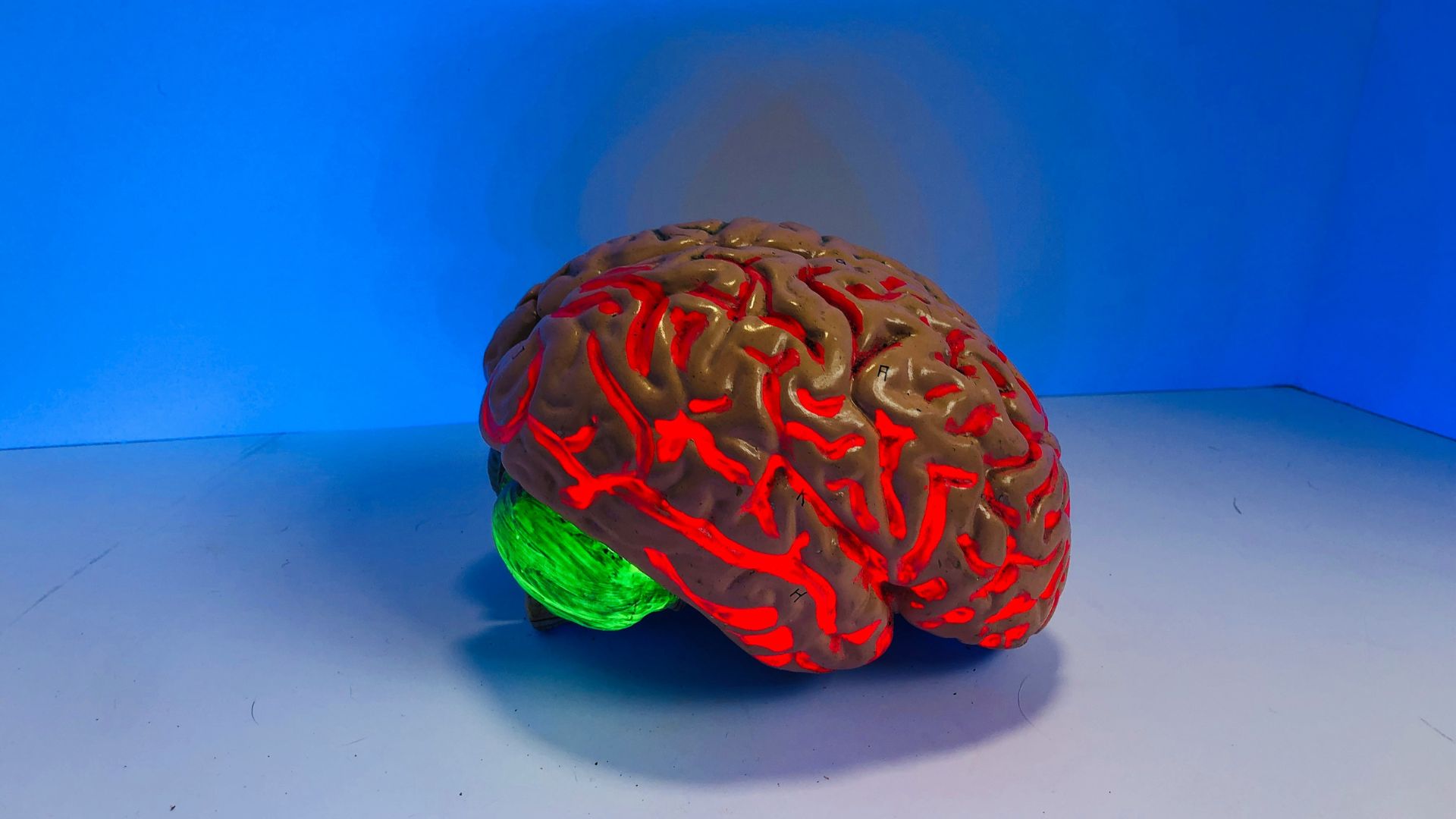 The University of South Carolina (USC) has revealed ambitious plans to create a $350 million neurological hospital in Columbia