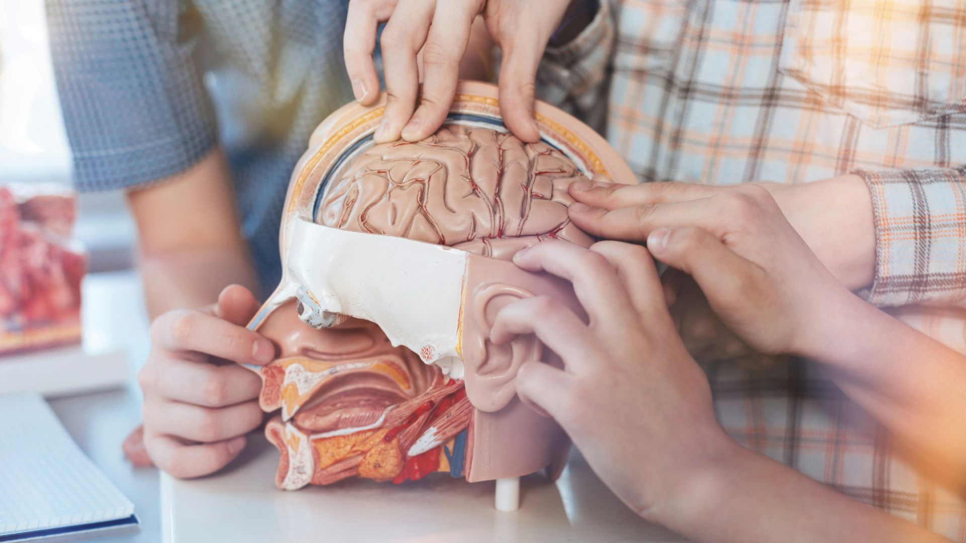 The University of South Carolina (USC) has revealed ambitious plans to create a $350 million neurological hospital in Columbia