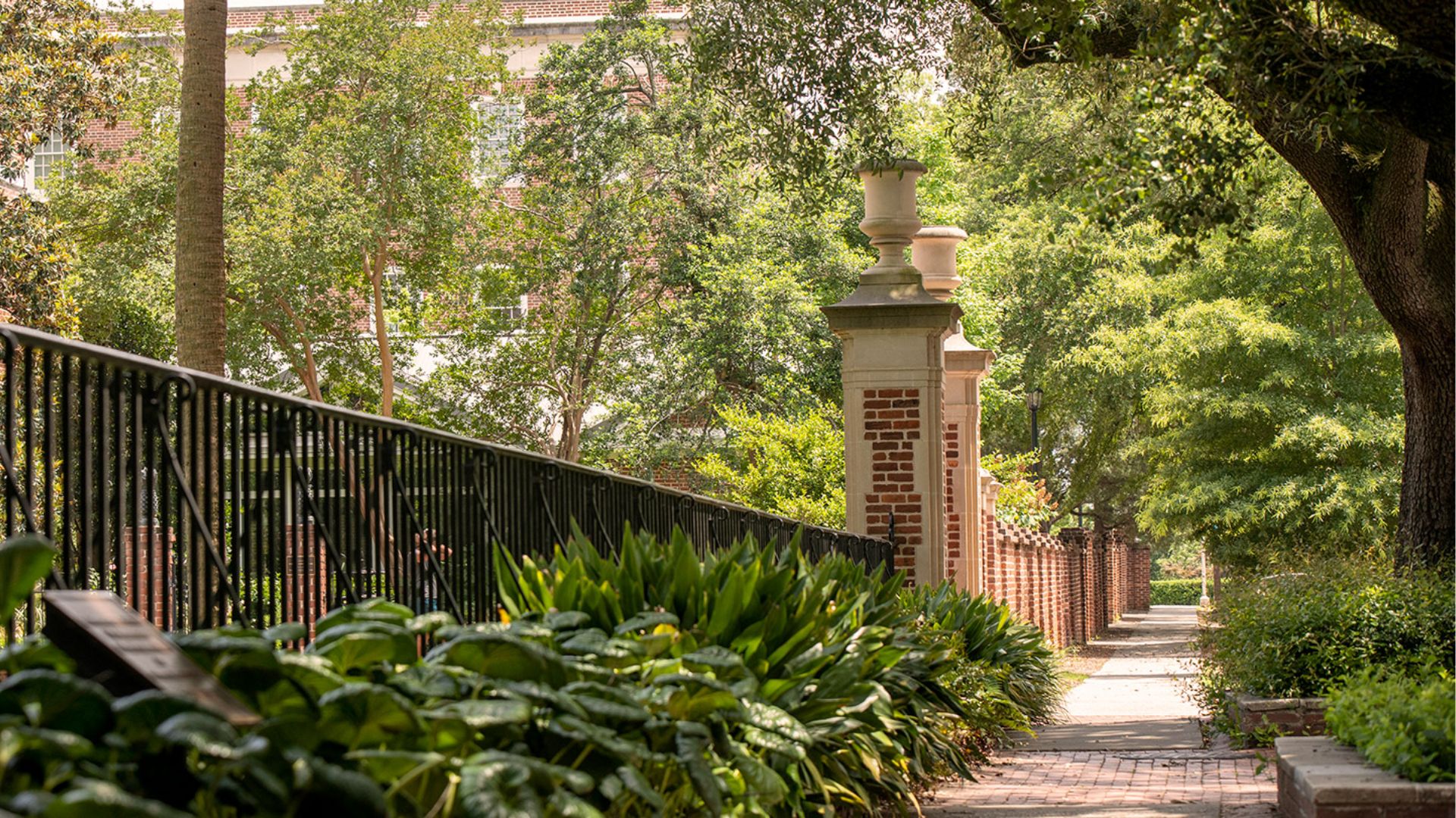 Mari Ross-Alexander, an associate vice president of the University of South Carolina, is charged for allegedly neglecting to pay over $1 million in employment taxes