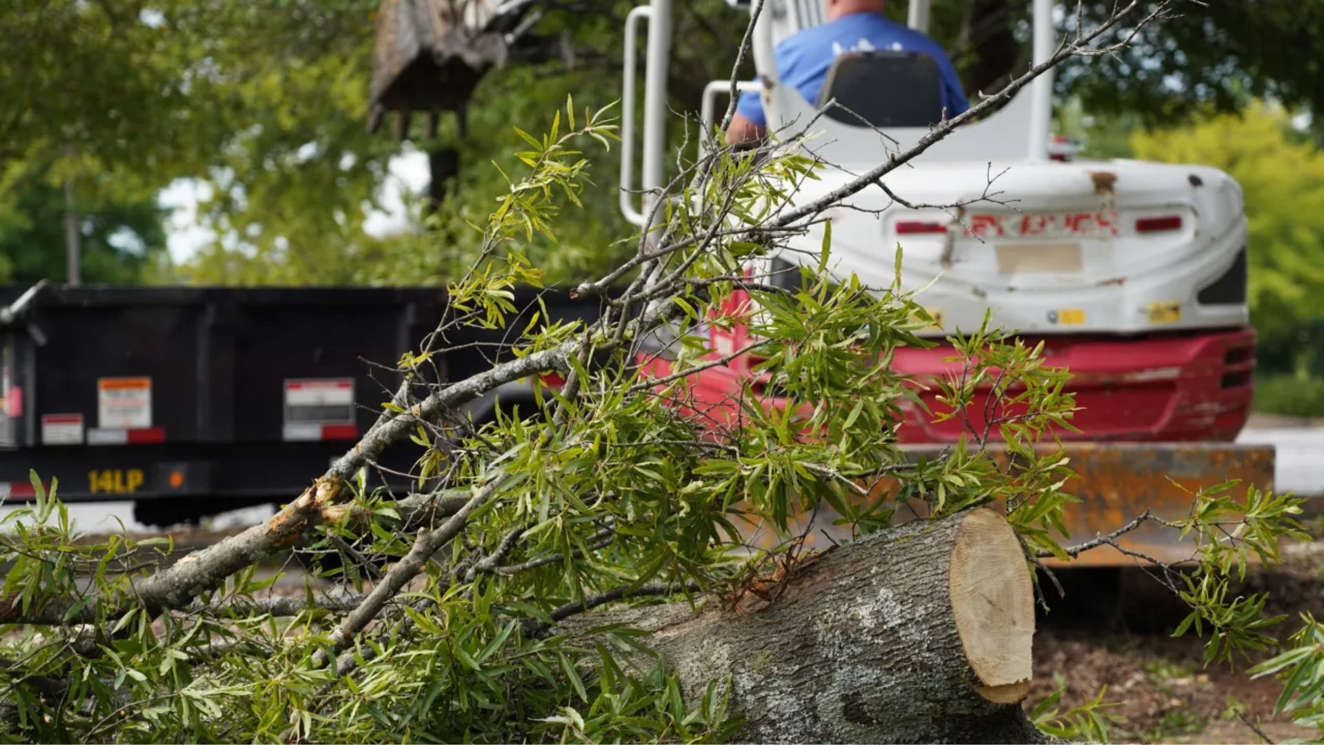 Thousands of South Carolina residents are being given a longer lifeline for vital recovery help following Hurricane Helene's impact
