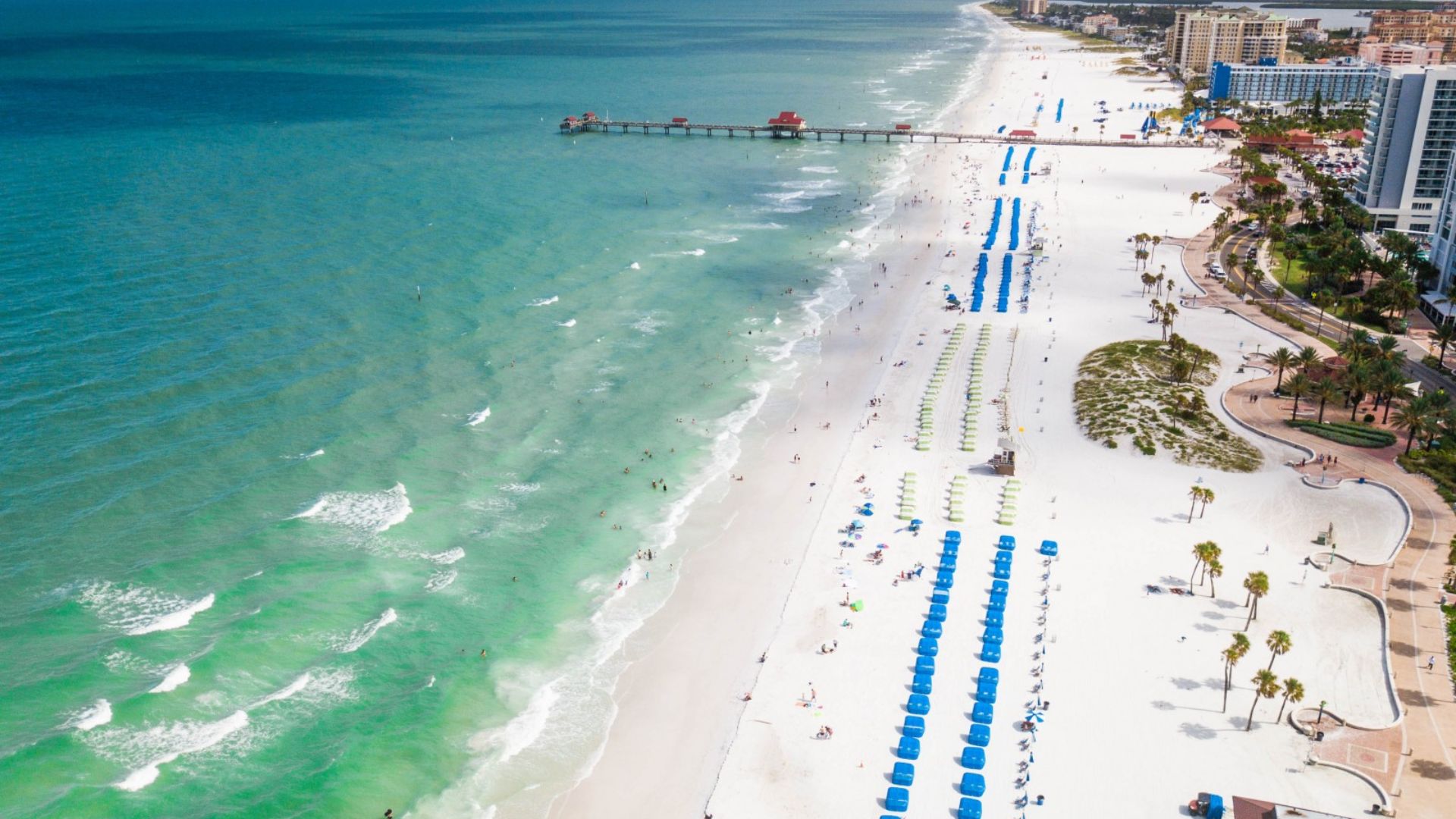 Spirit Airlines is offering Louisville passengers cause to dream of sandy beaches and sunny sky in South Carolina and Florida