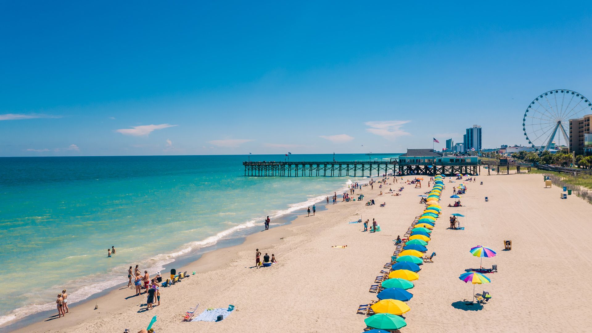 Spirit Airlines is offering Louisville passengers cause to dream of sandy beaches and sunny sky in South Carolina and Florida