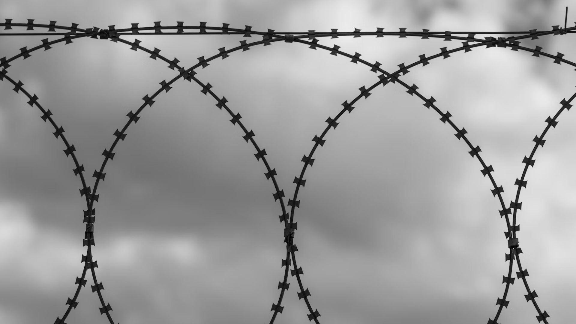 Three Georgia brothers who operated multiple restaurants in South Carolina are headed to federal prison for COVID relief fraud