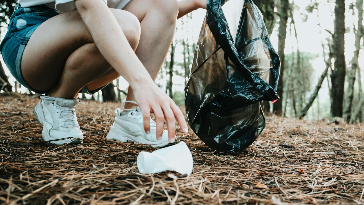 Great American Clean-Up in Florence pairs environmental action with ...