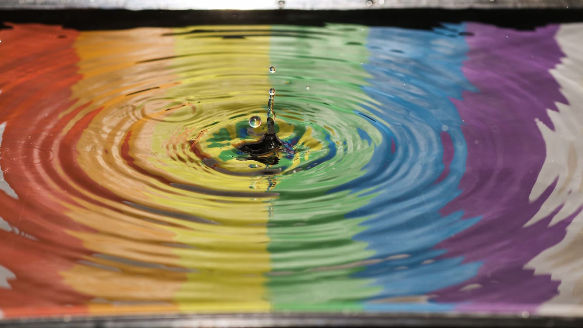 A pair of legislative legislation targeting diversity, equity, and inclusion (DEI) programs is causing significant debate in Palmetto State