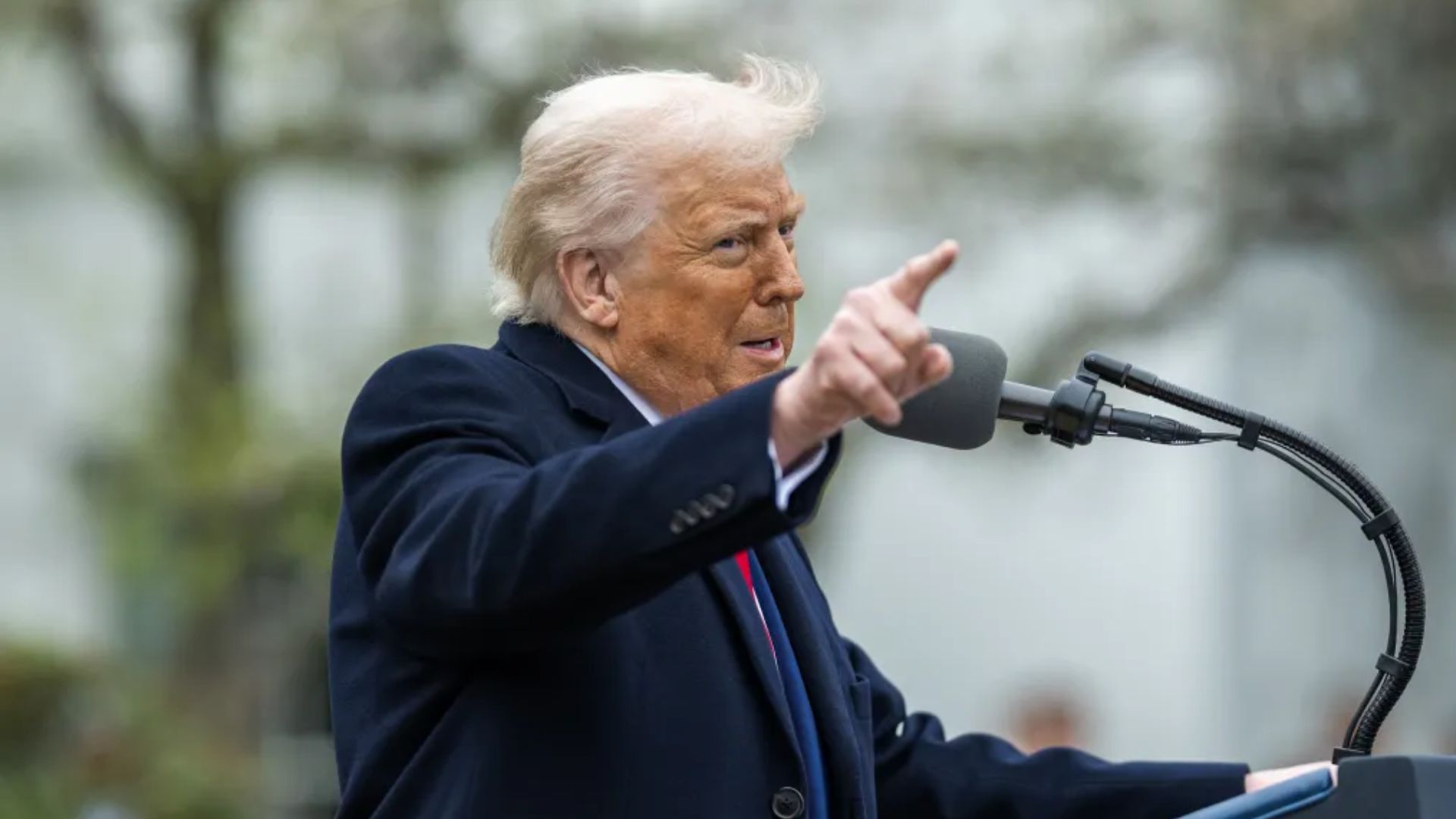 Massachusetts Democratic Senator Elizabeth Warren has reminded her online followers about the damage done by the Trump tariffs this week, but her post immediately backfired.