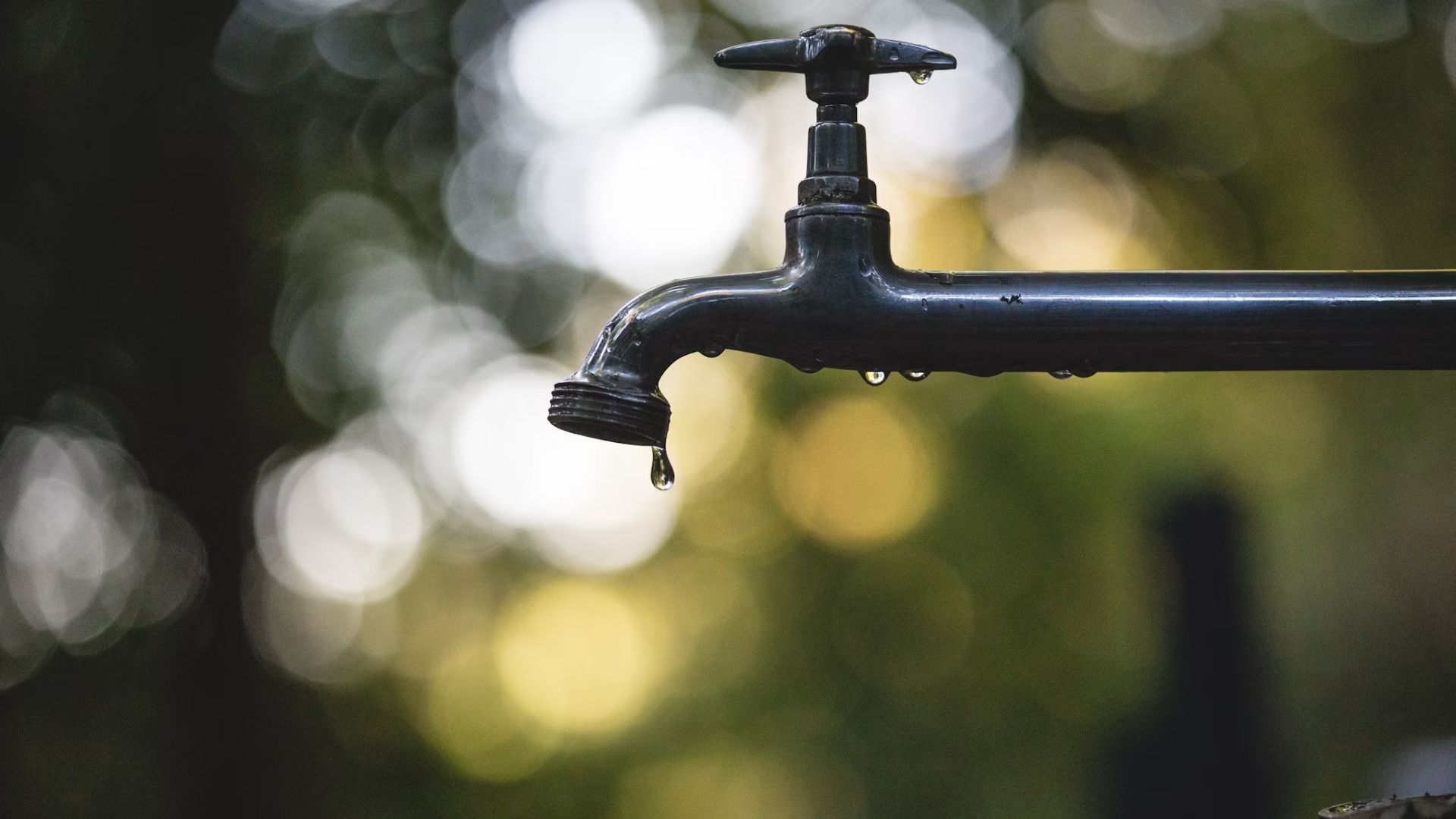 The City of Florence is calling on households, businesses and industrial customers across its water system to voluntarily cut back on non-essential water use as severe drought conditions continue across South Carolina.
